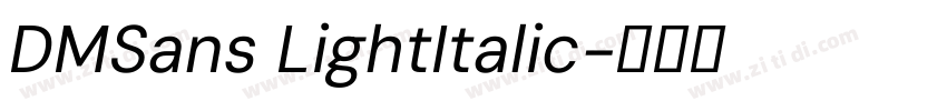 DMSans LightItalic字体转换